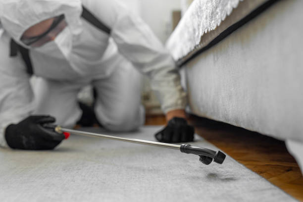 Professional Bed Bug Control technician working in St. Augustine, FL