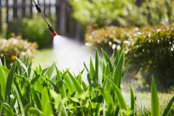 24/7 Emergency Bed Bug Control experts in St. Augustine, FL