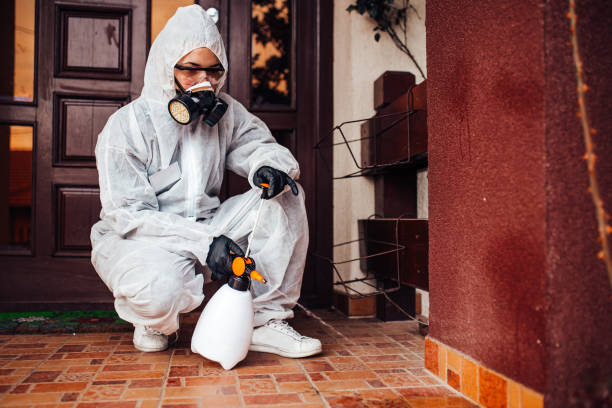 Reliable Bed Bug Control contractor in St. Augustine, FL by Nex Pest Control
